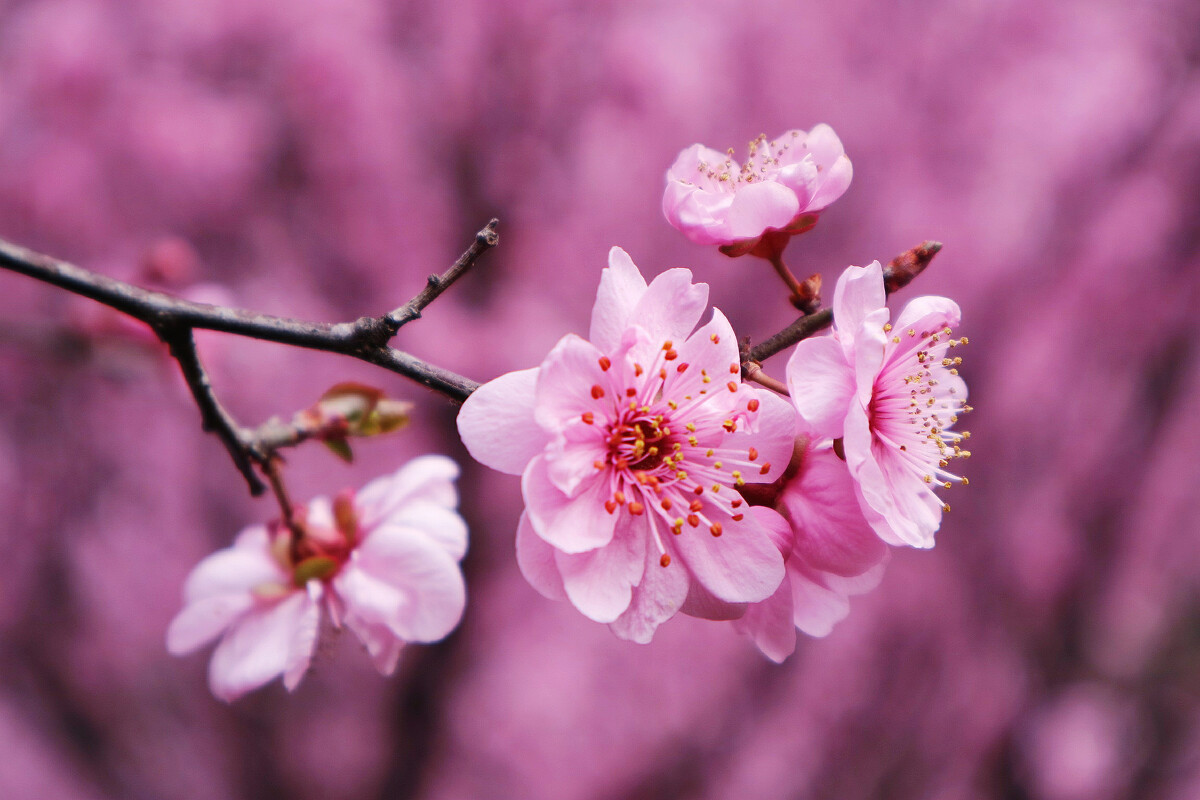 春天冷熱不定，應(yīng)該怎么選擇小學(xué)校服穿搭？